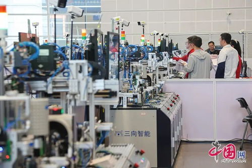 二十個新賽項揭示職業就業新趨勢 健康照護、互聯網營銷與人工智能訓練領跑